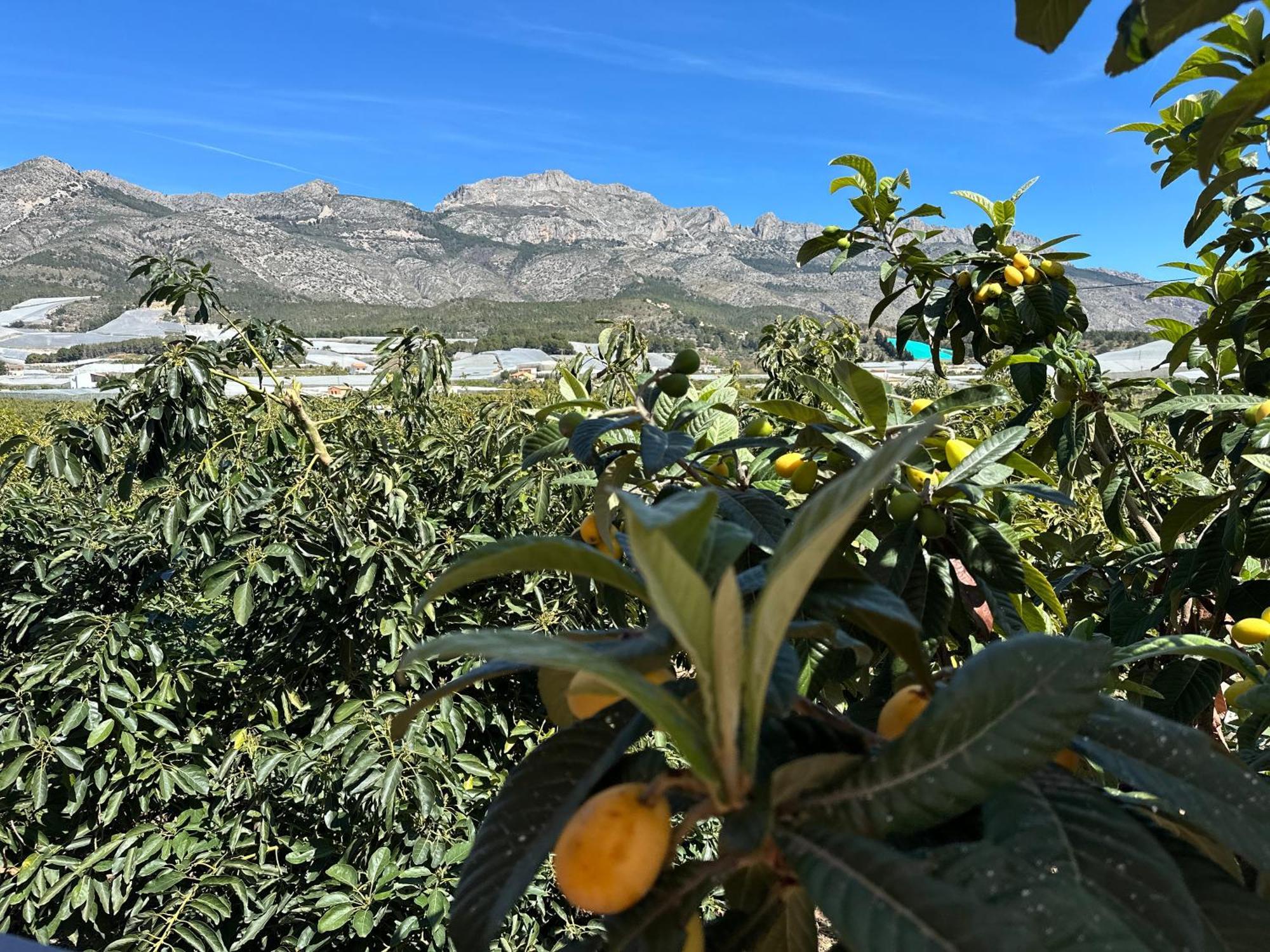 Casa Rural Altaret Callosa de Ensarriá 外观 照片