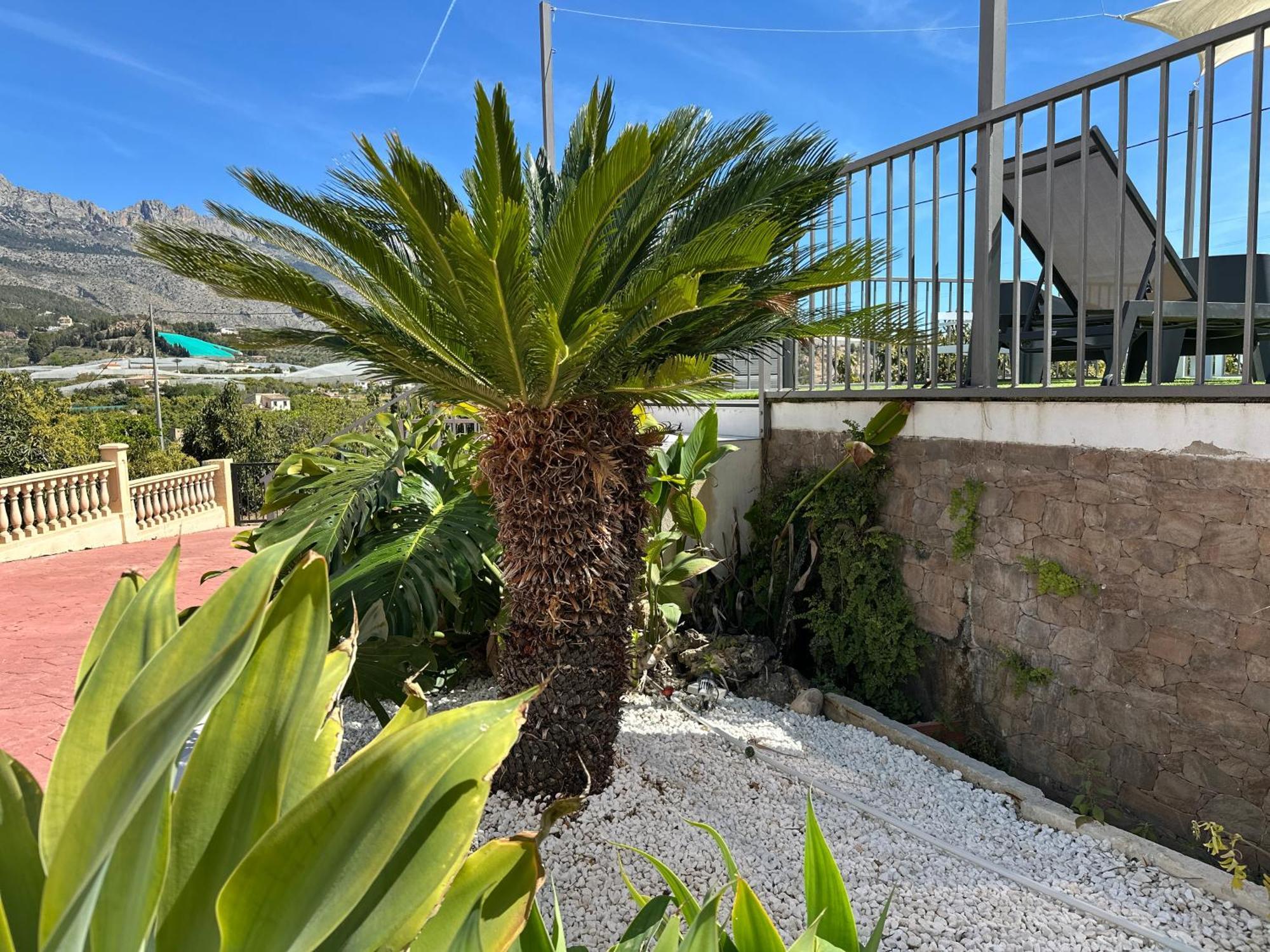 Casa Rural Altaret Callosa de Ensarriá 外观 照片